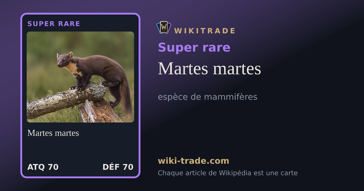 Martes martes — carte Super rare
