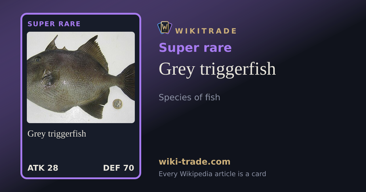 Grey triggerfish — Super rare card
