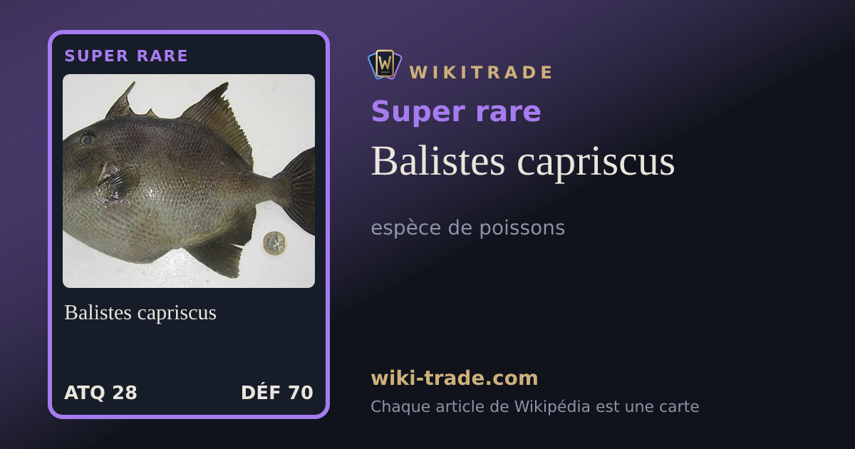 Balistes capriscus — carte Super rare