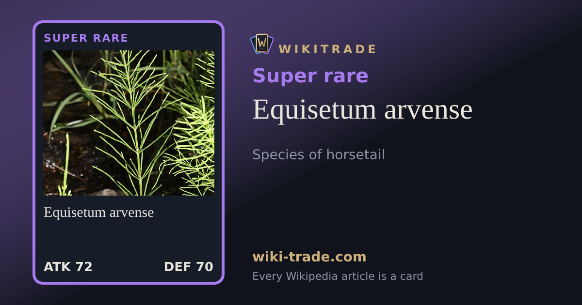 Equisetum arvense — Super rare card