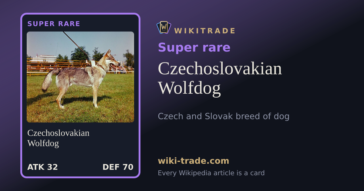 Czechoslovakian Wolfdog — Super rare card