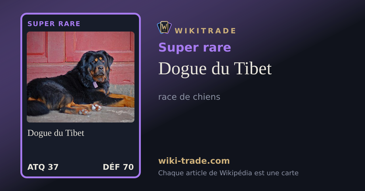 Dogue du Tibet — carte Super rare