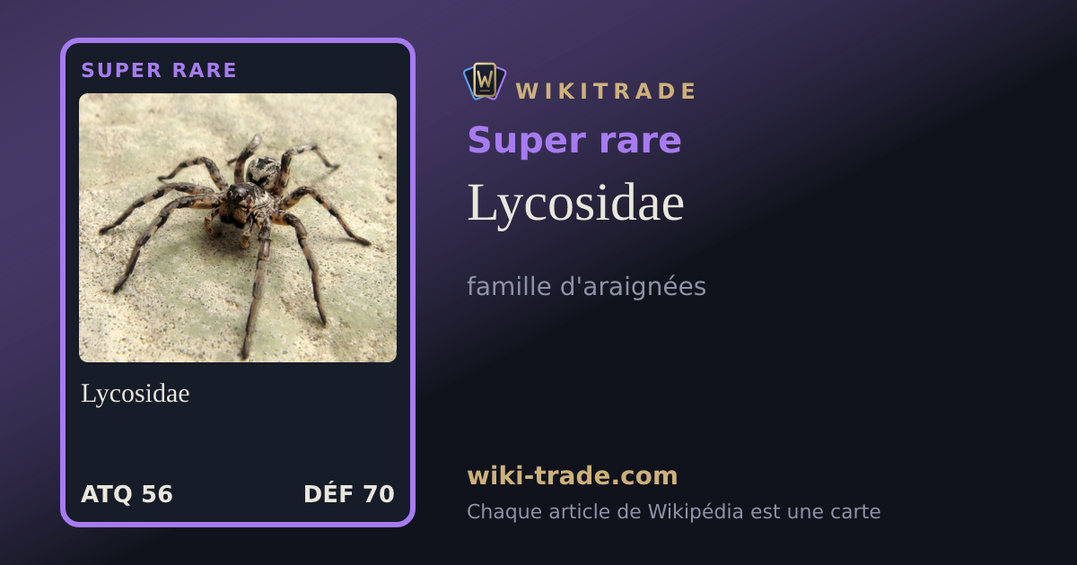 Lycosidae — carte Super rare