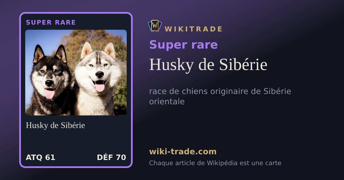 Husky de Sibérie — carte Super rare