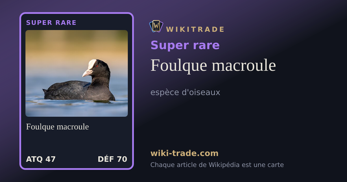 Foulque macroule — carte Super rare