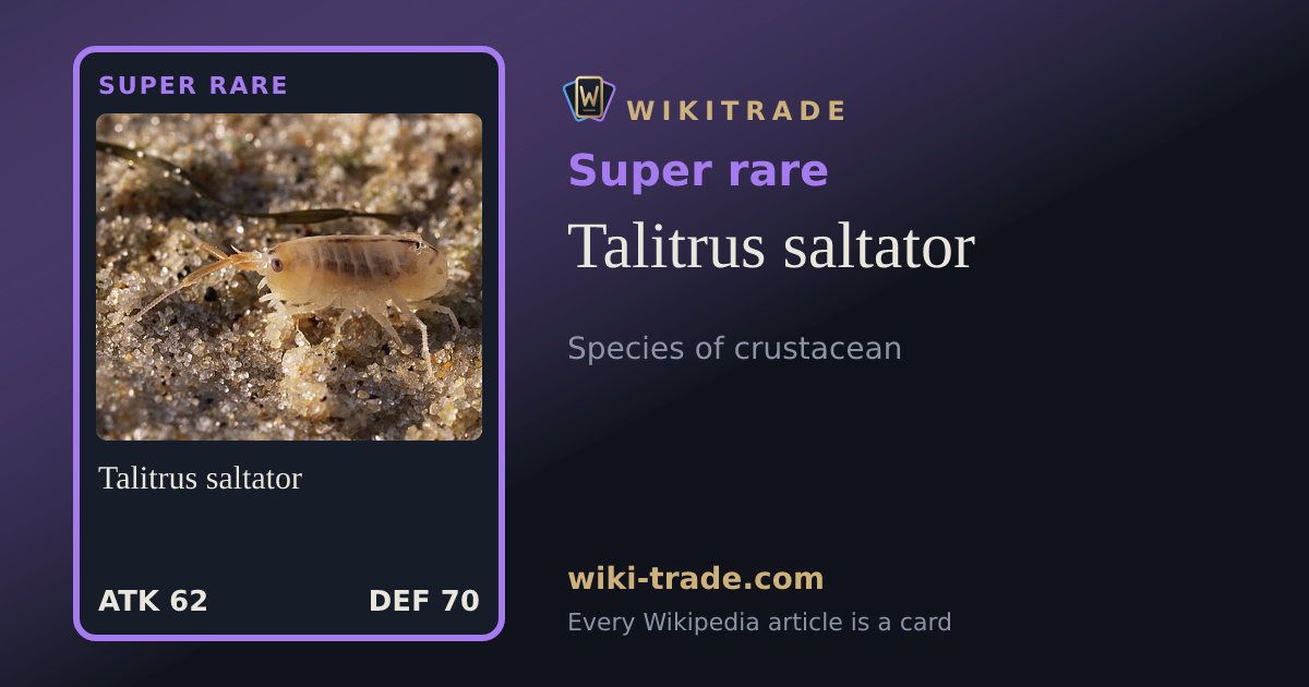Talitrus saltator — Super rare card