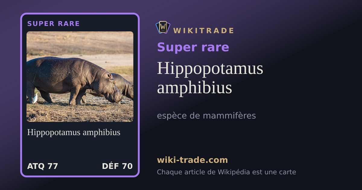 Hippopotamus amphibius — carte Super rare