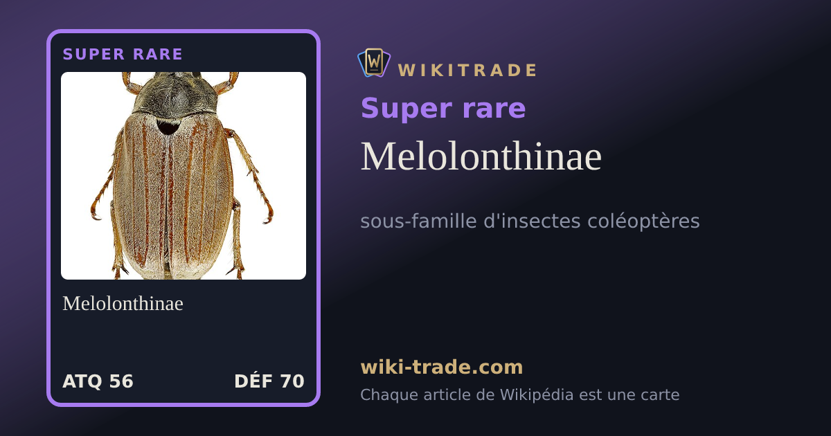 Melolonthinae — carte Super rare