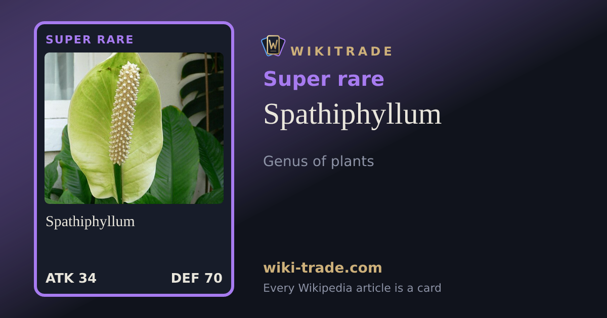 Spathiphyllum — Super rare card