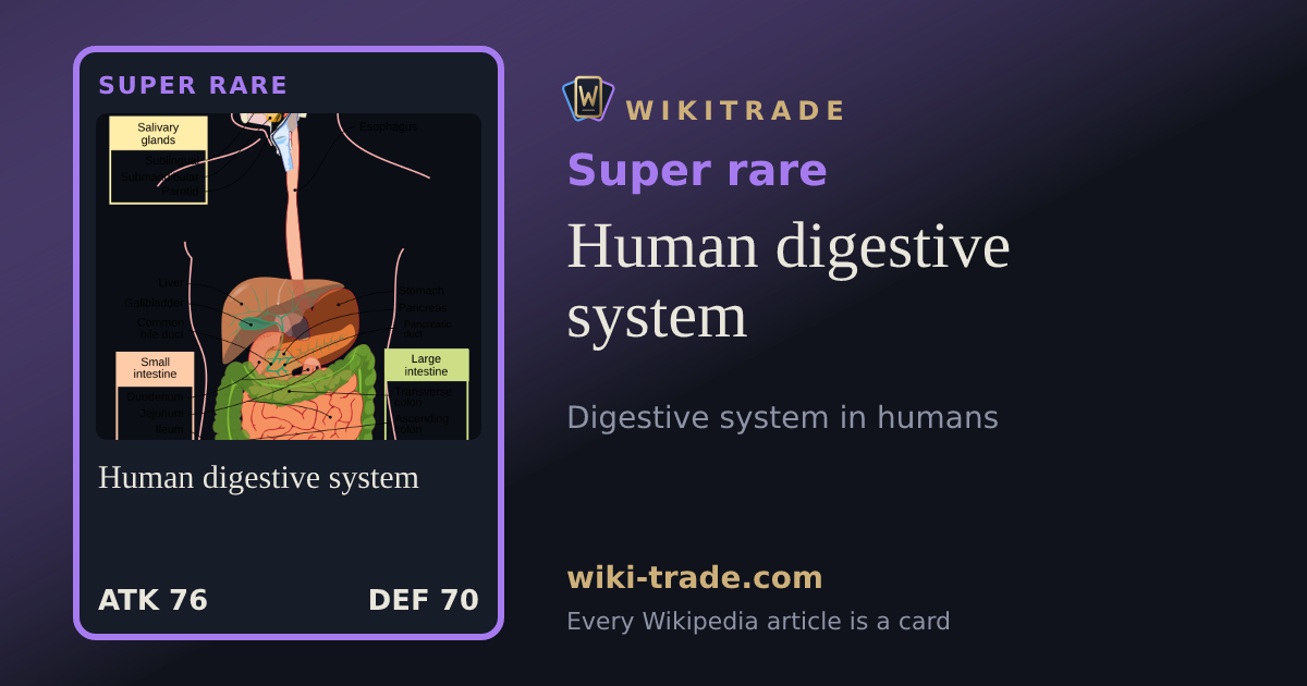 Human digestive system — Super rare card
