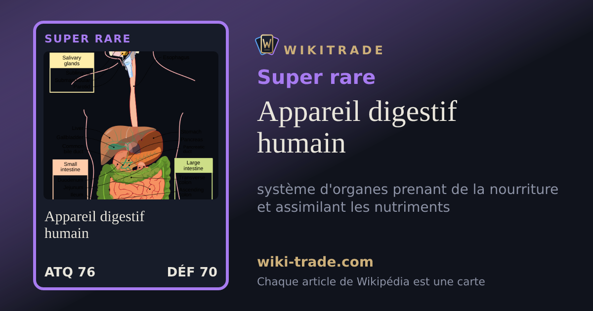 Appareil digestif humain — carte Super rare