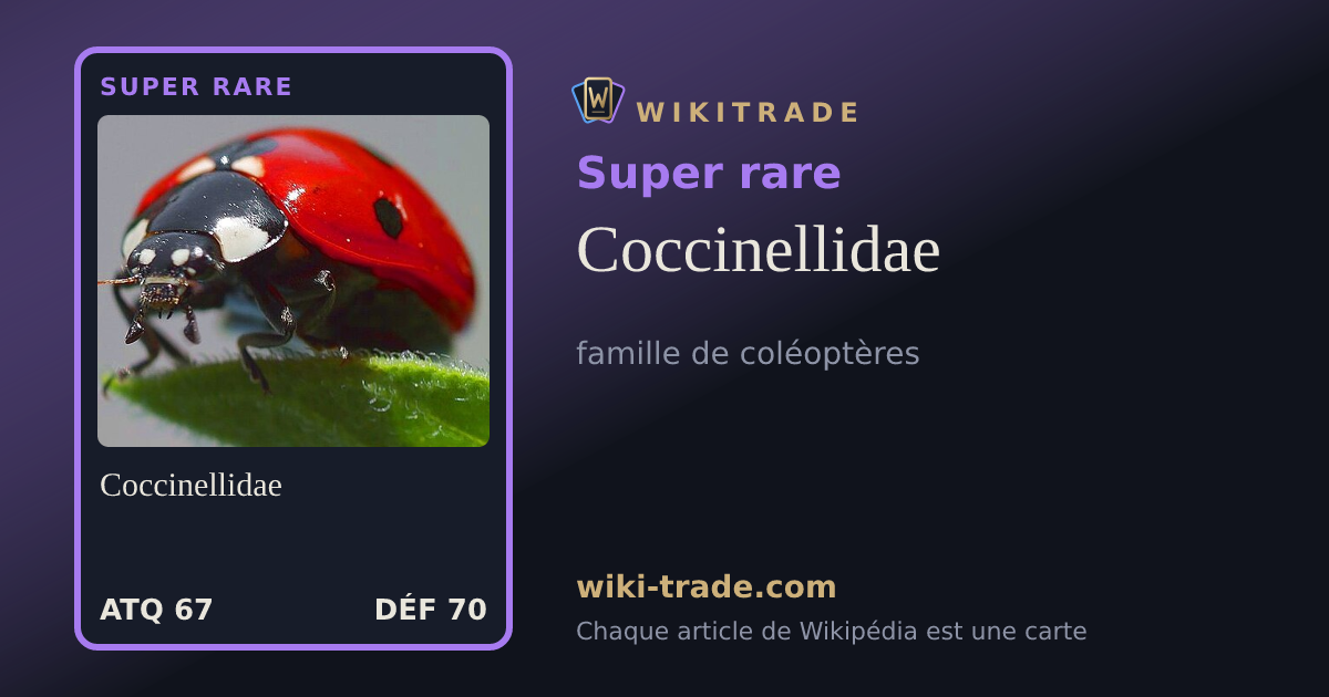 Coccinellidae — carte Super rare