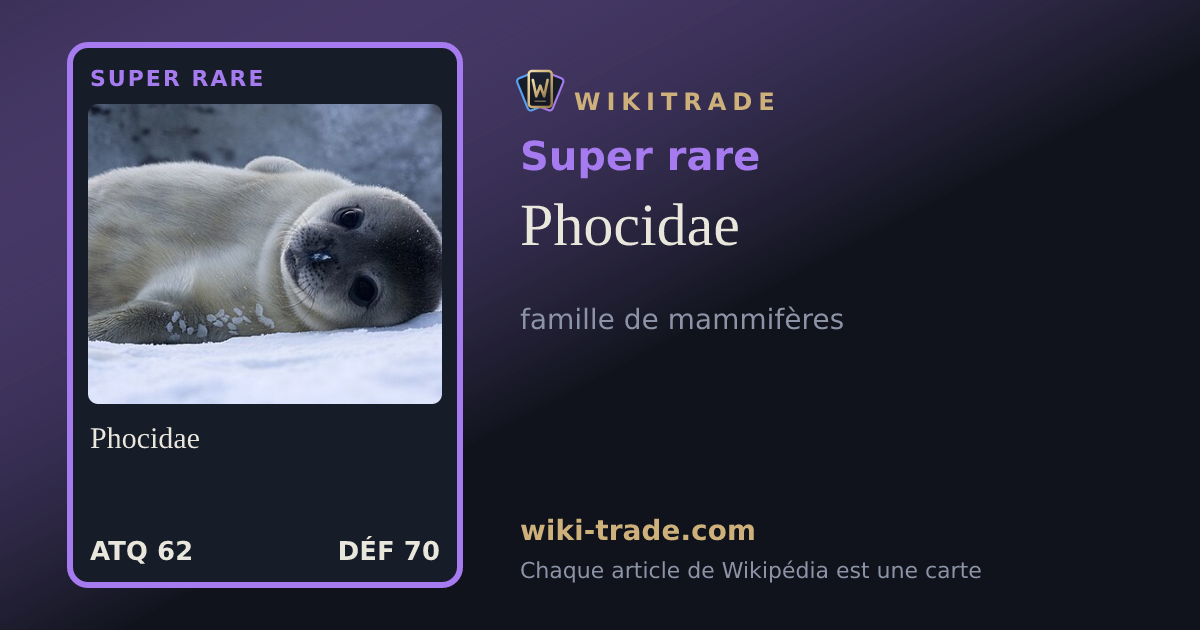 Phocidae — carte Super rare