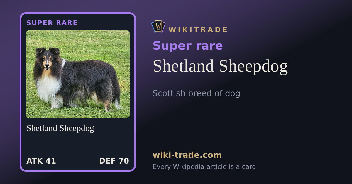 Shetland Sheepdog — Super rare card