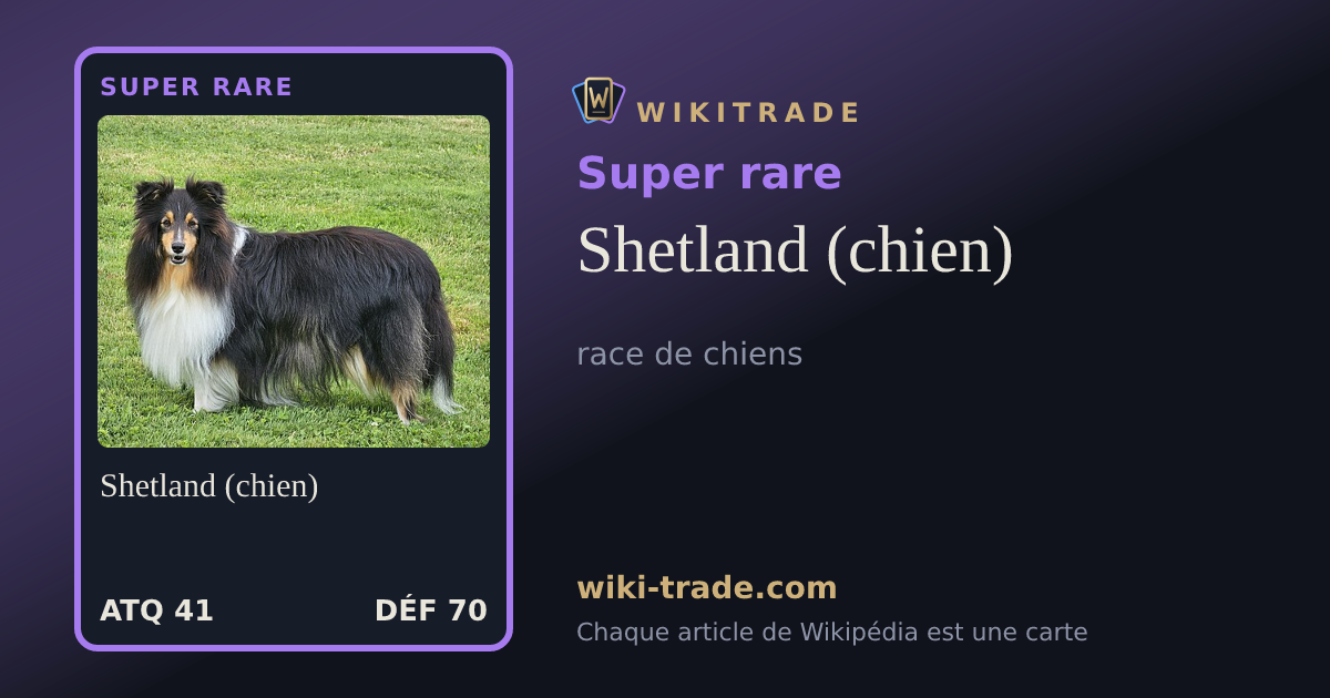 Shetland (chien) — carte Super rare