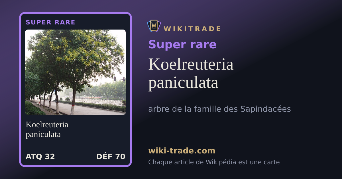 Koelreuteria paniculata — carte Super rare