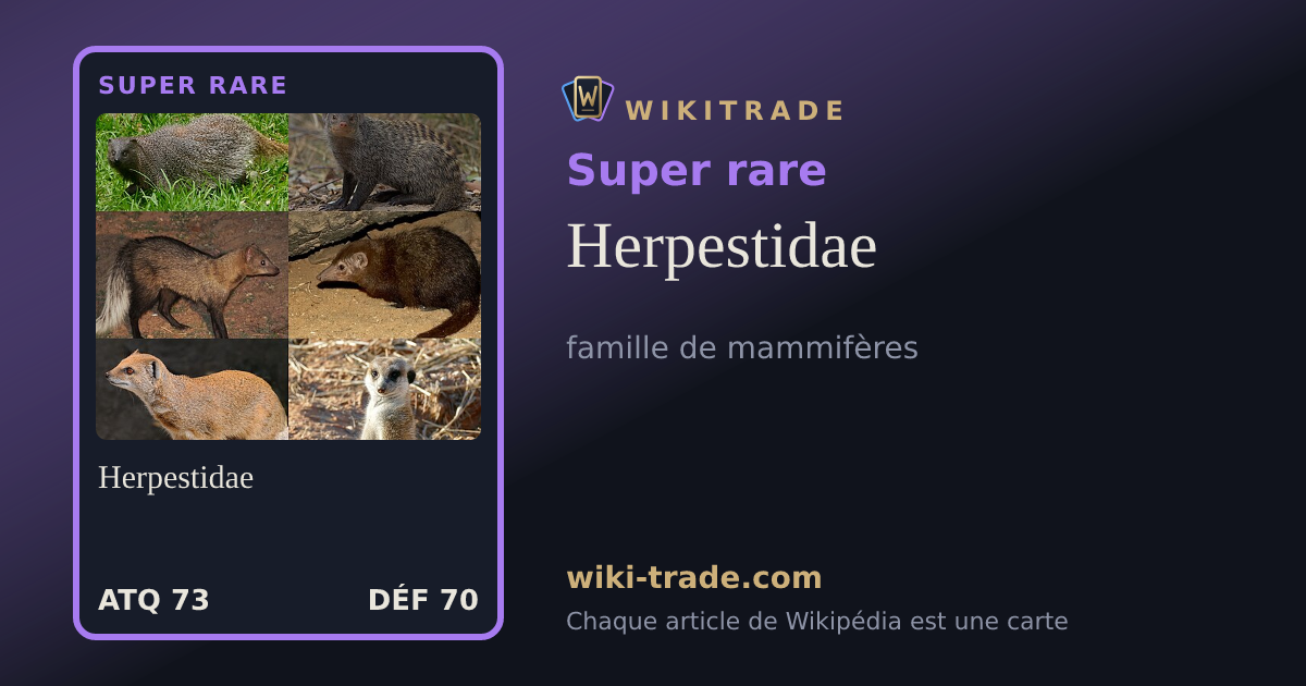 Herpestidae — carte Super rare