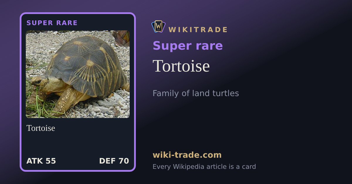 Tortoise — Super rare card