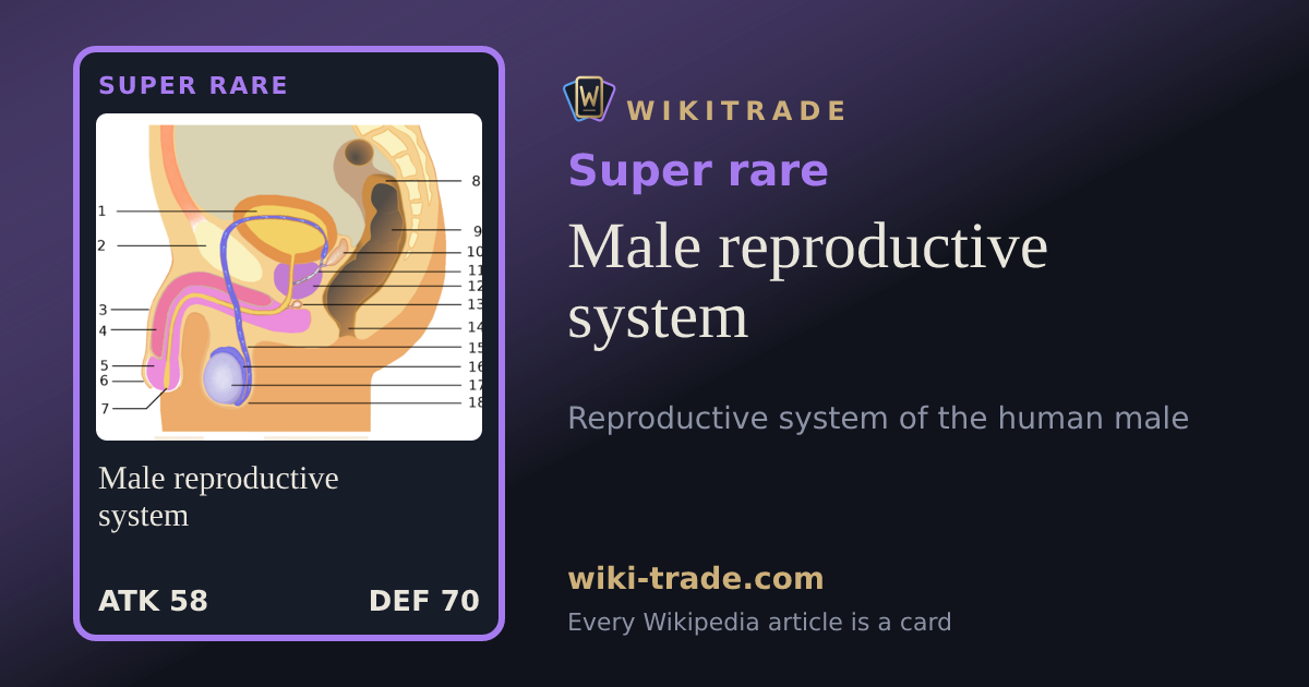 Male reproductive system — Super rare card