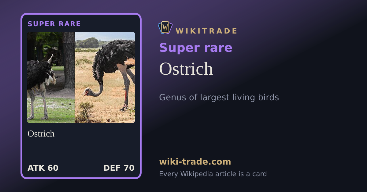 Ostrich — Super rare card