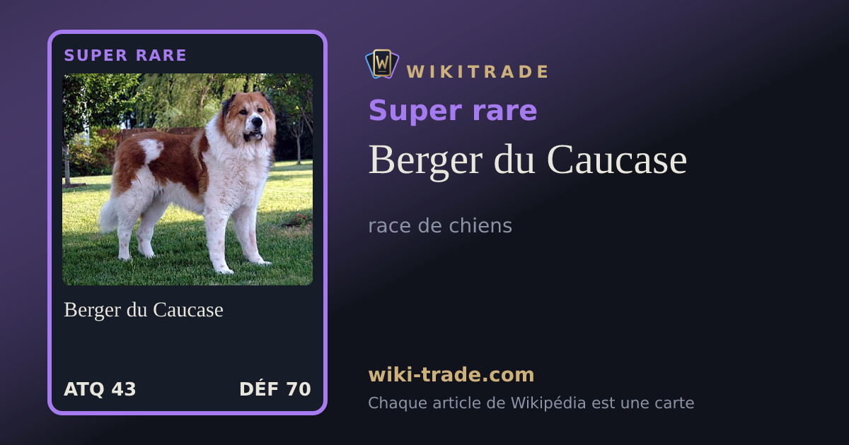 Berger du Caucase — carte Super rare