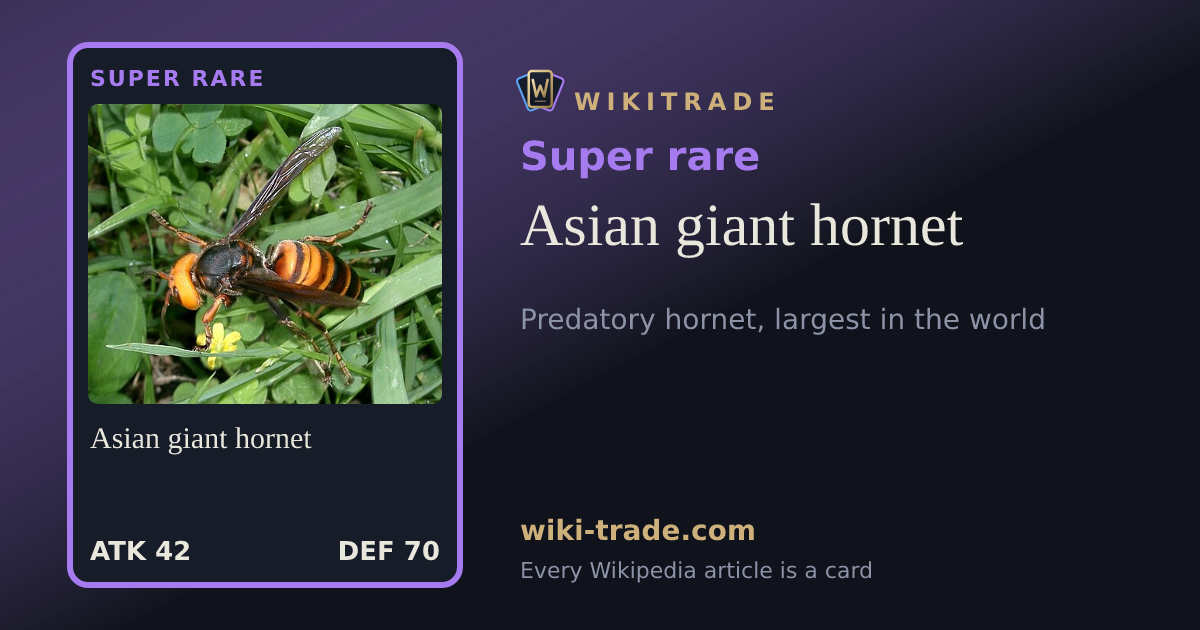 Asian giant hornet — Super rare card