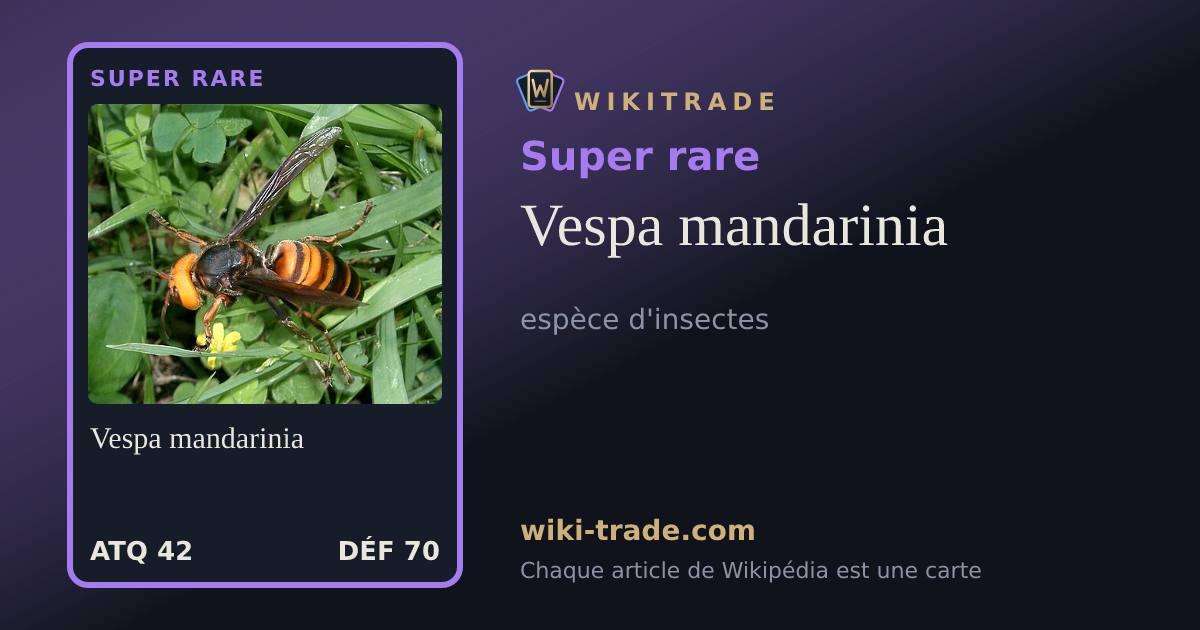 Vespa mandarinia — carte Super rare