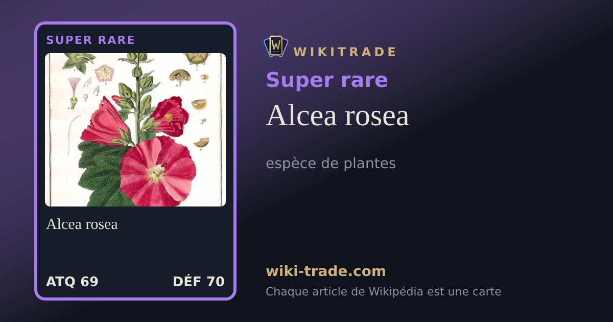 Alcea rosea — carte Super rare