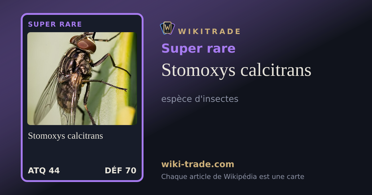 Stomoxys calcitrans — carte Super rare