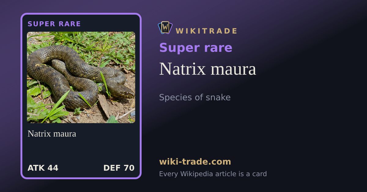 Natrix maura — Super rare card