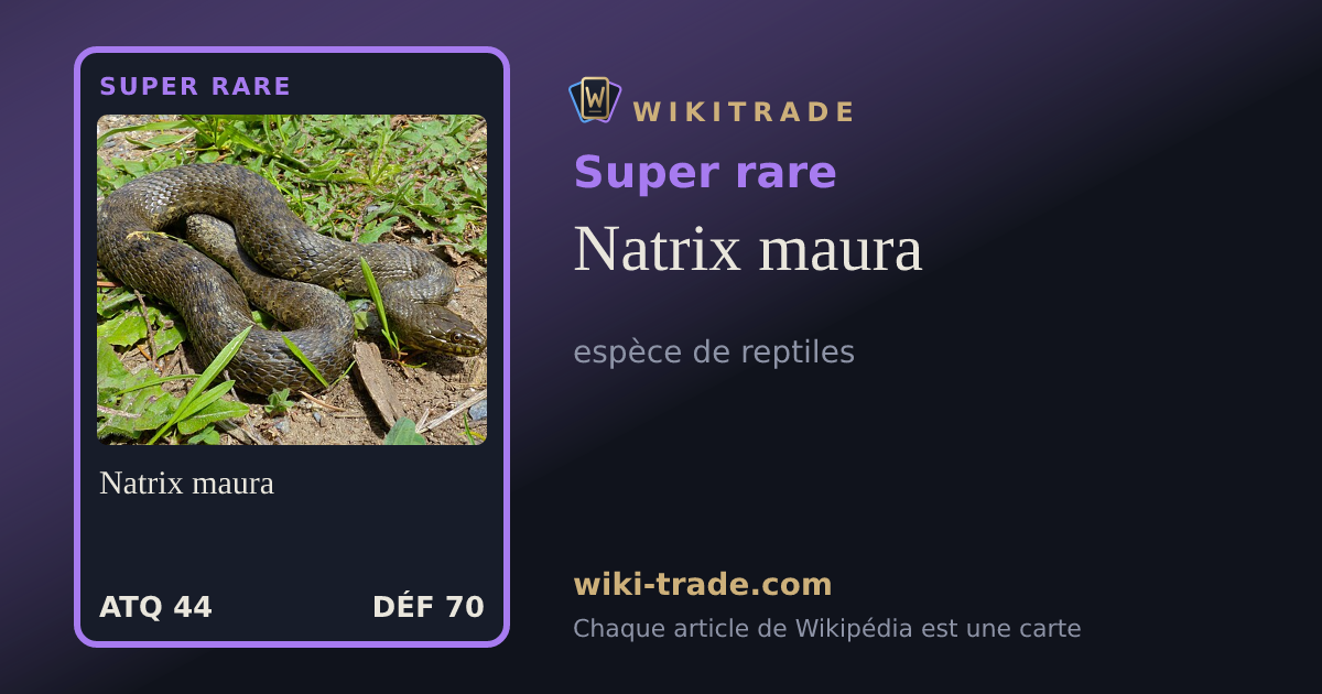 Natrix maura — carte Super rare