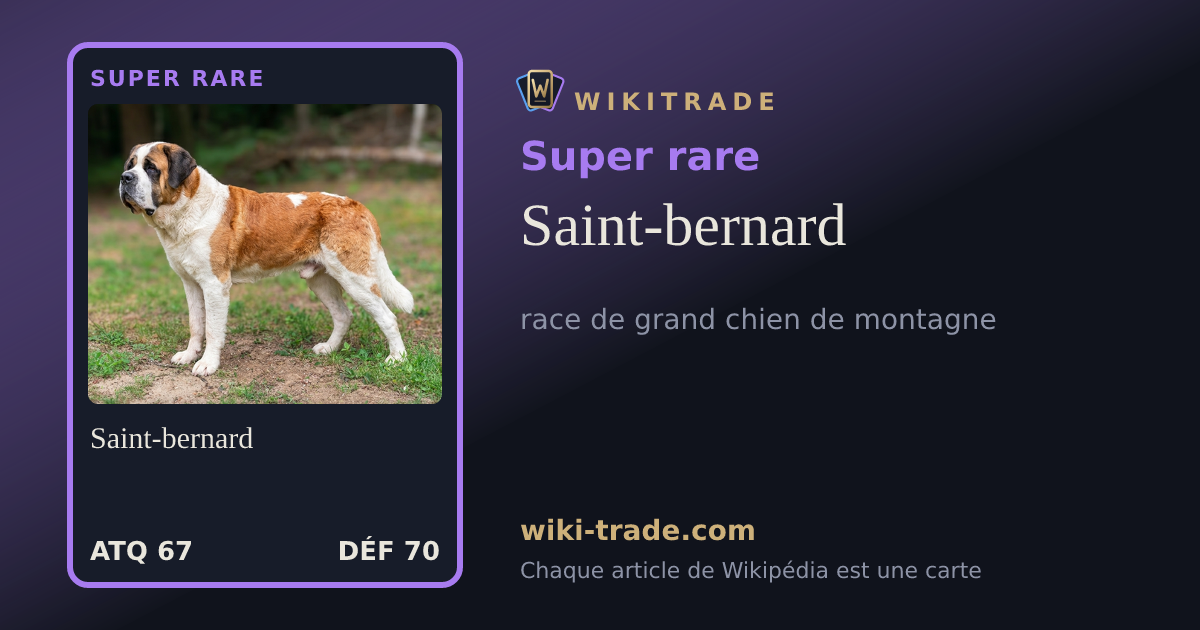 Saint-bernard — carte Super rare