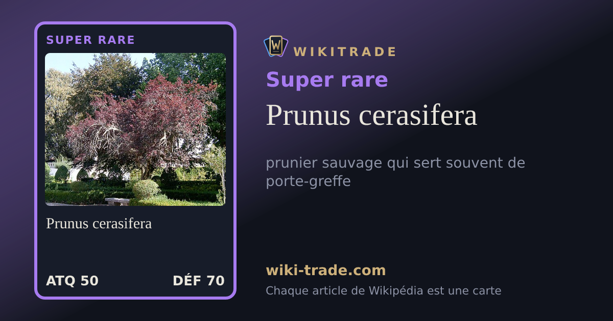 Prunus cerasifera — carte Super rare