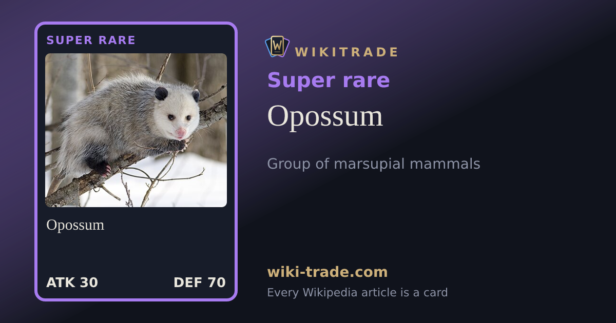 Opossum — Super rare card