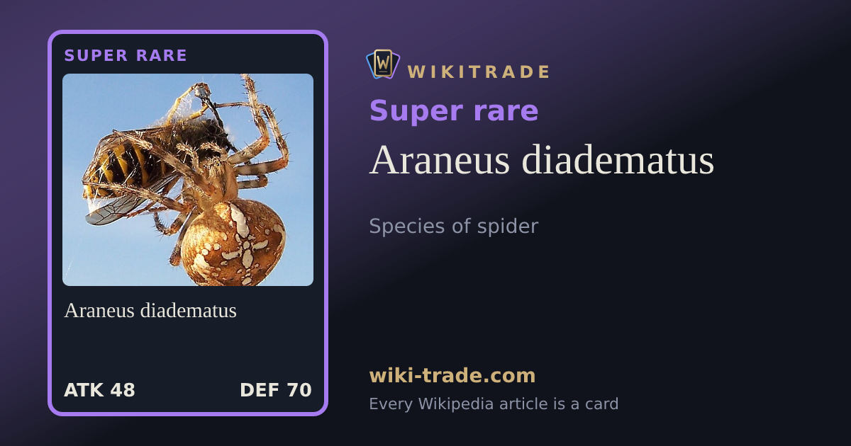 Araneus diadematus — Super rare card