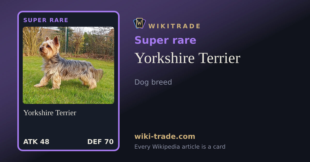Yorkshire Terrier — Super rare card