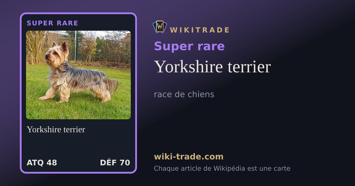 Yorkshire terrier — carte Super rare