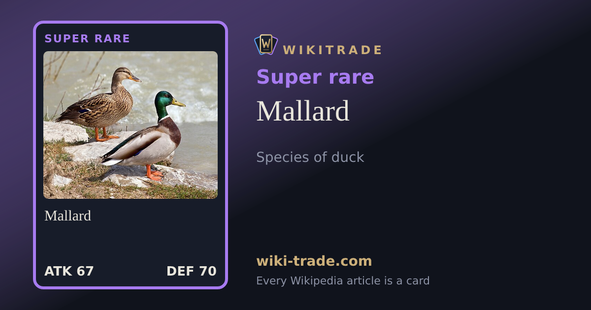 Mallard — Super rare card