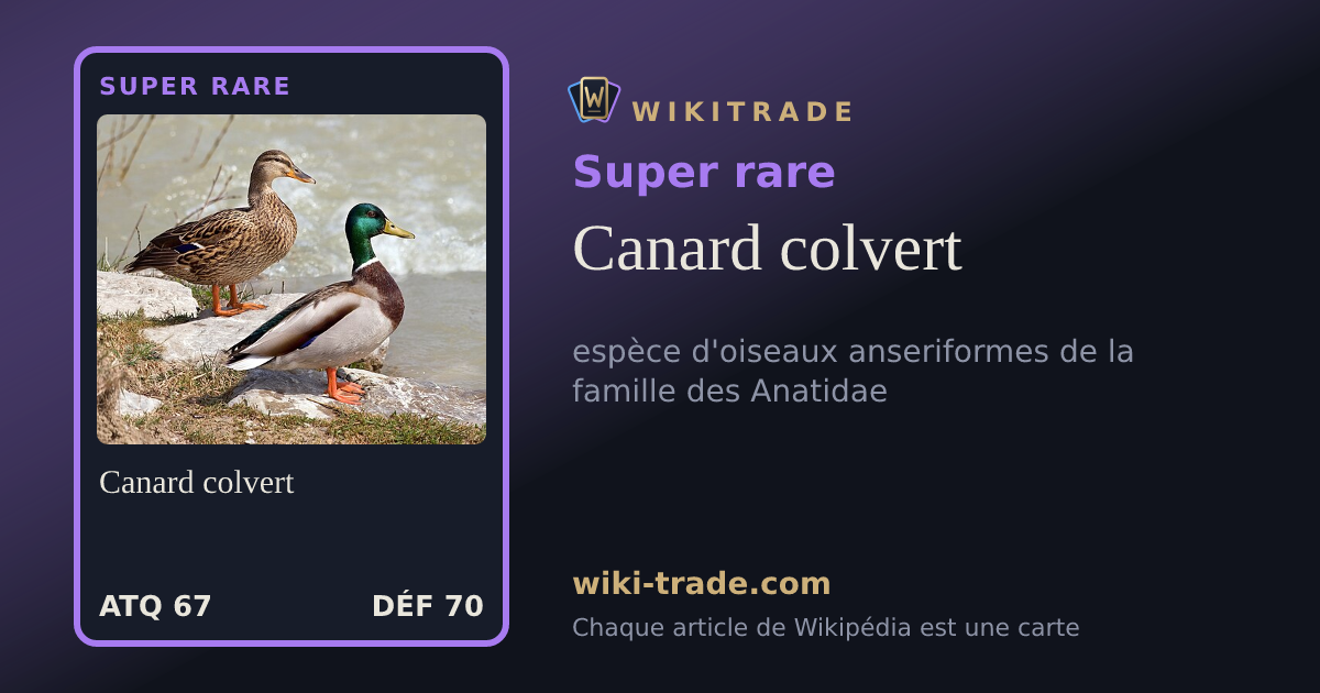 Canard colvert — carte Super rare