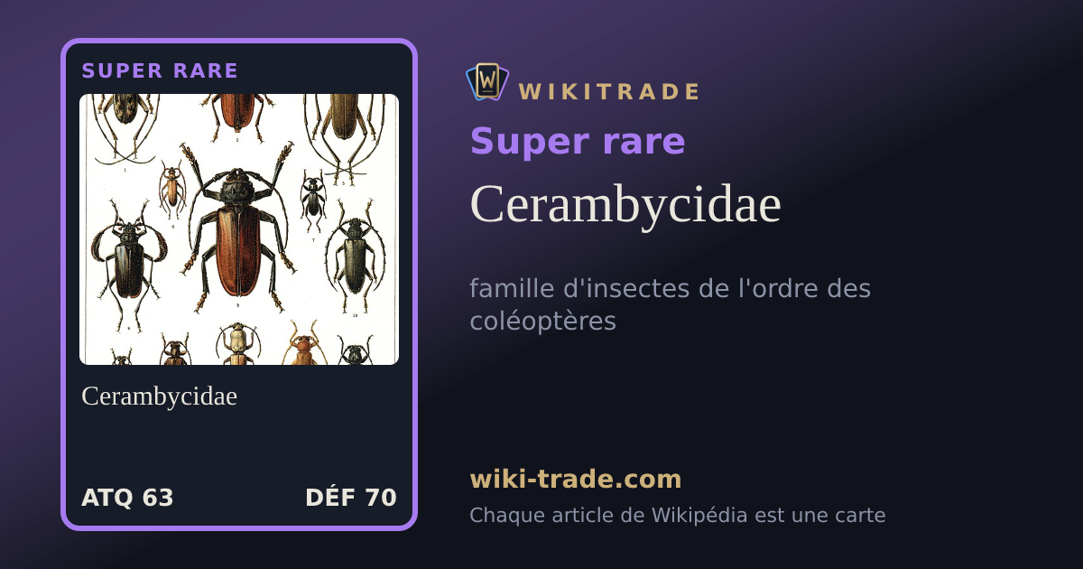 Cerambycidae — carte Super rare