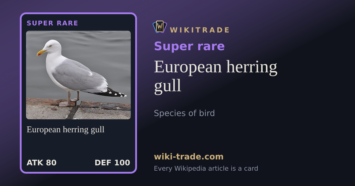 European herring gull — Super rare card