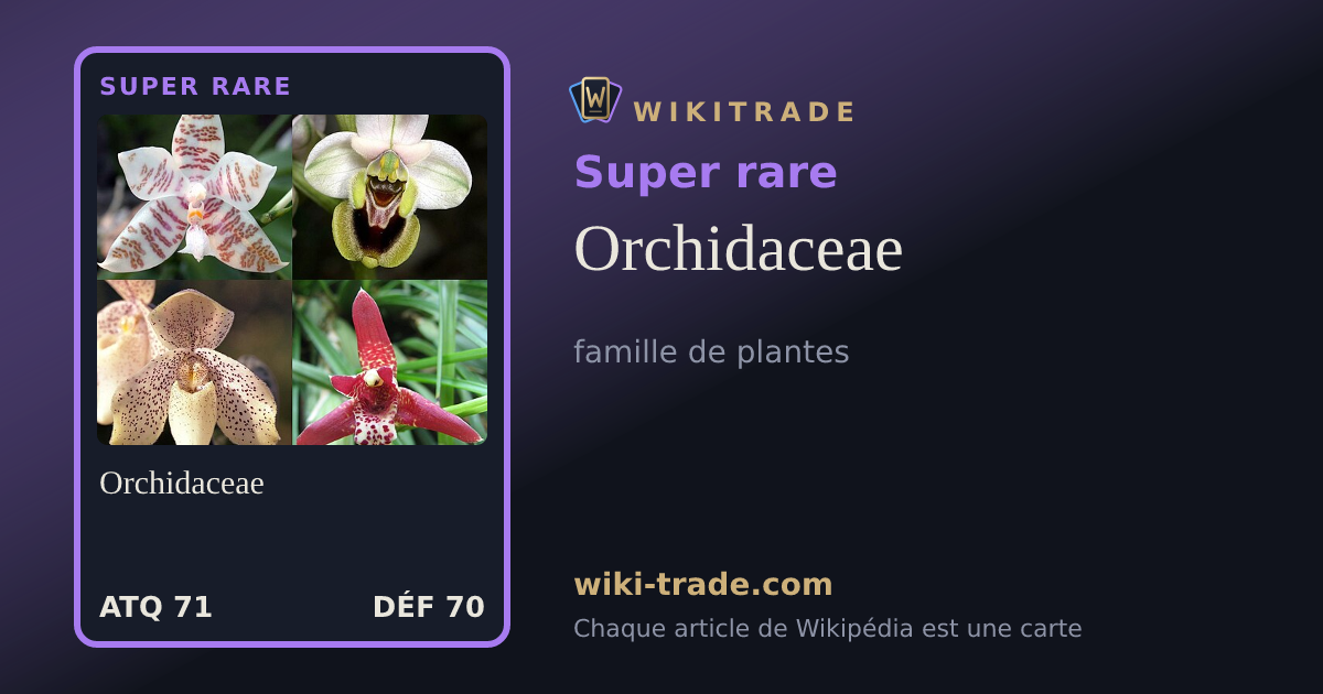 Orchidaceae — carte Super rare