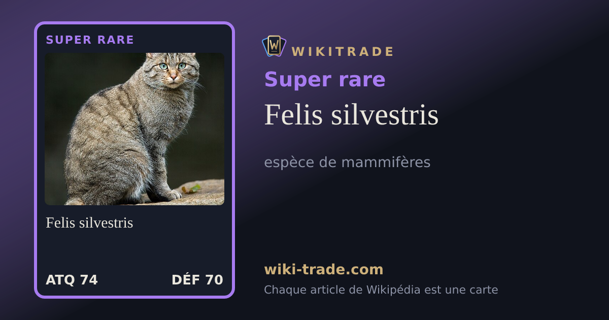 Felis silvestris — carte Super rare