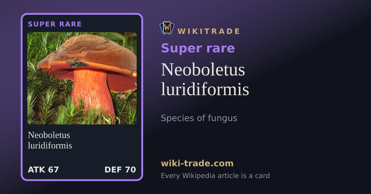 Neoboletus luridiformis — Super rare card