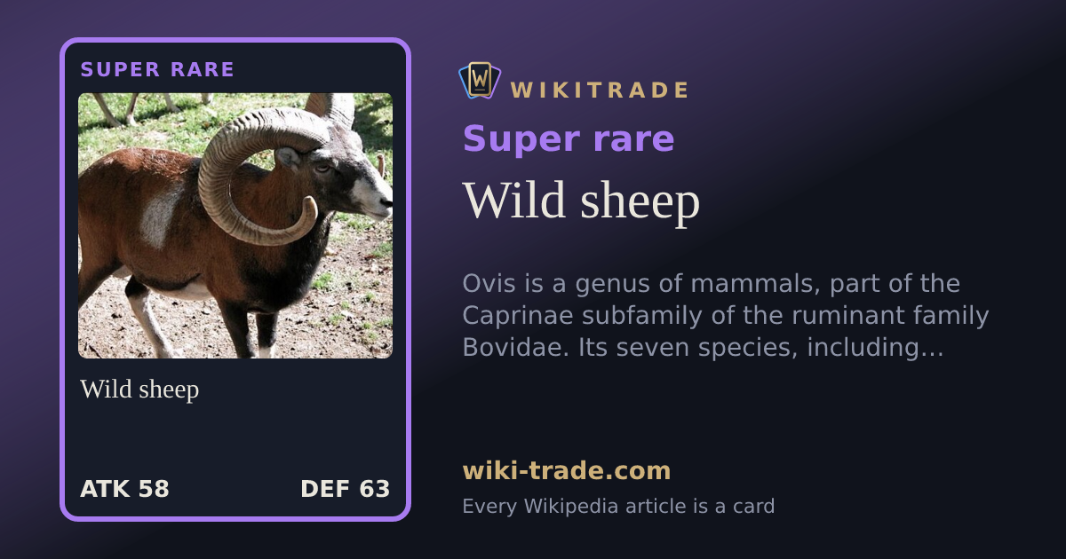 Wild sheep — Super rare card