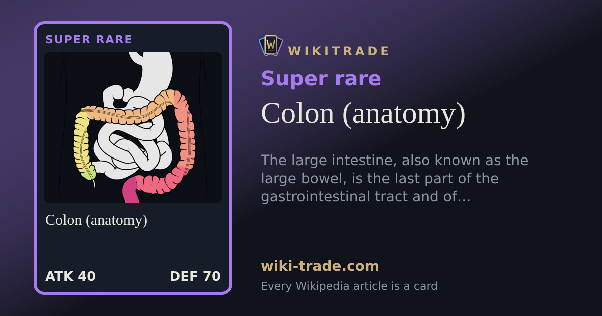 Colon (anatomy) — Super rare card