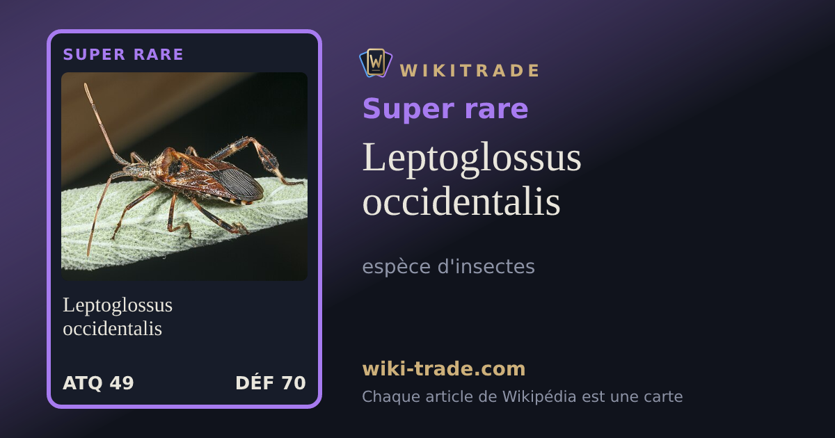 Leptoglossus occidentalis — carte Super rare