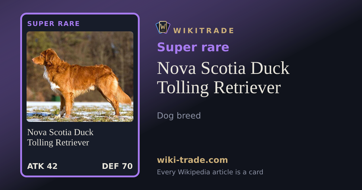 Nova Scotia Duck Tolling Retriever — Super rare card