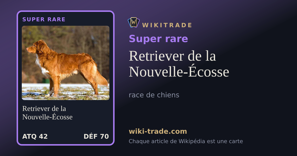 Retriever de la Nouvelle-Écosse — carte Super rare