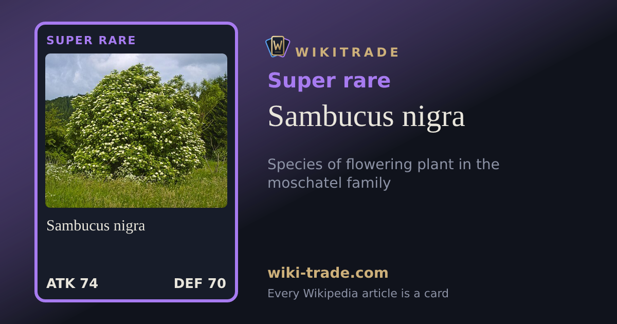 Sambucus nigra — Super rare card